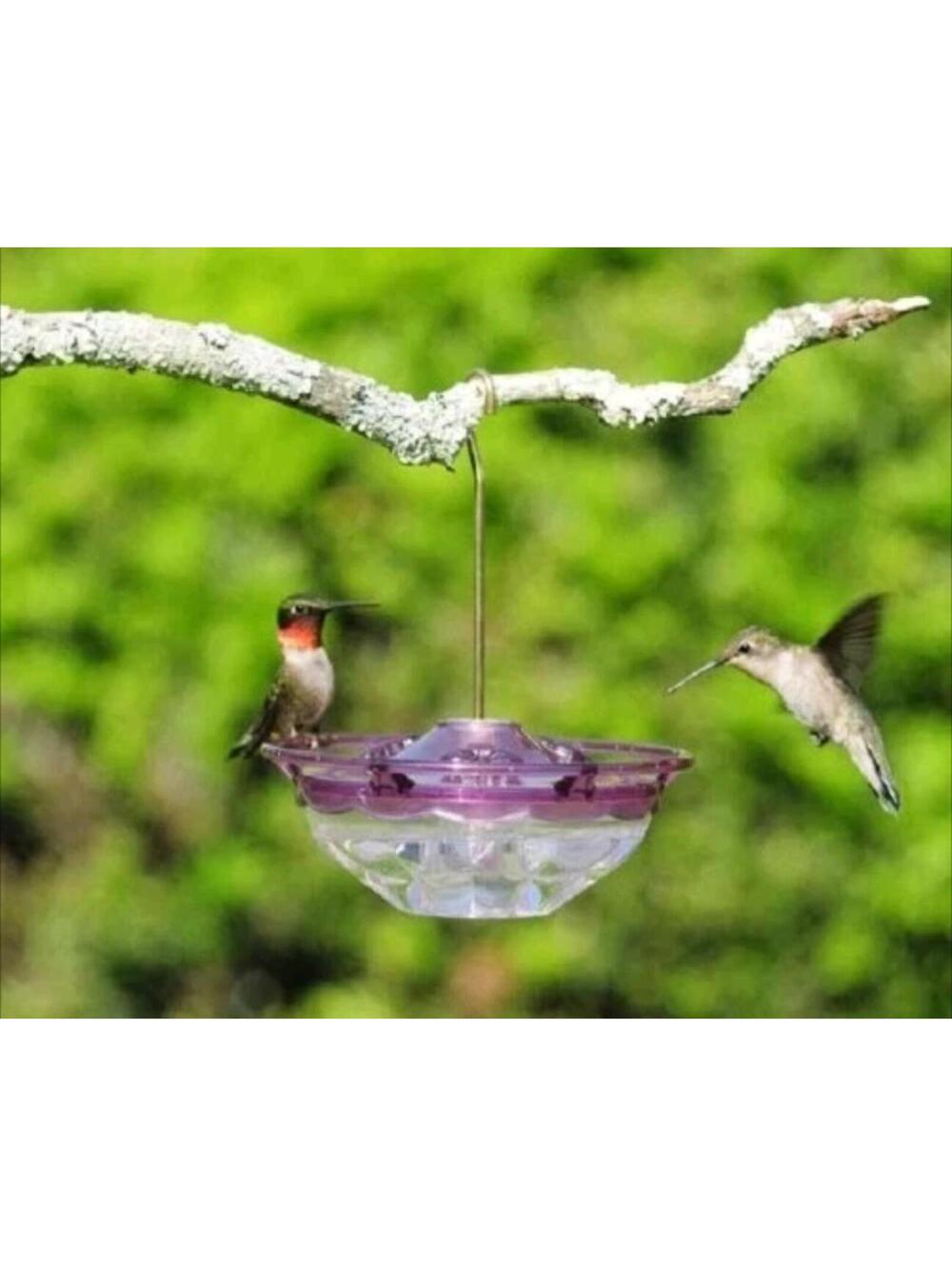 NEW Aspects 434 HummZinger Humm Blossom Hummingbird Feeder